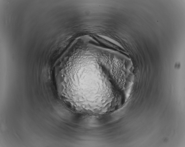 X0000091100182200708201530