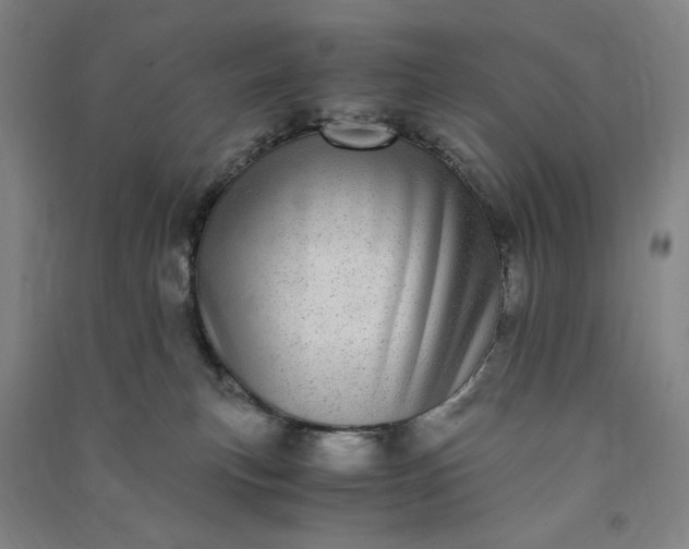 X0000091100183200708201530