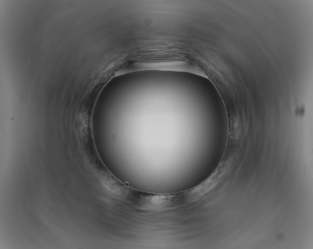 X0000091100184200708201530