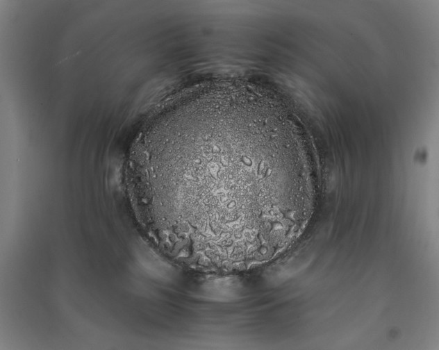 X0000091100185200708201530