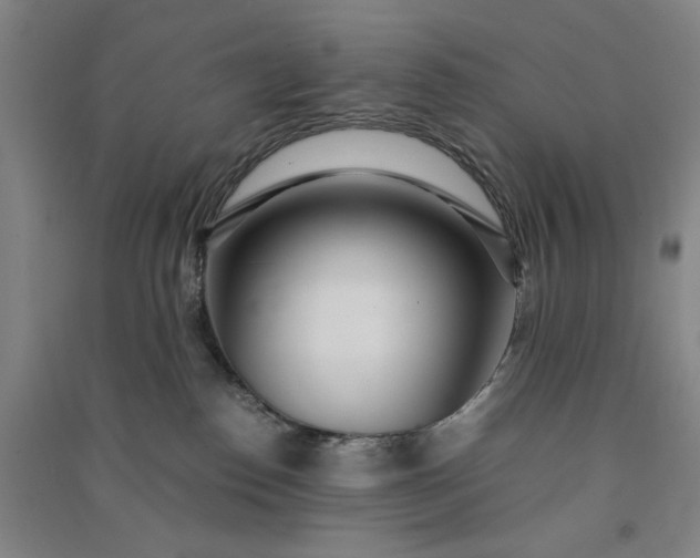 X0000091100186200708201530