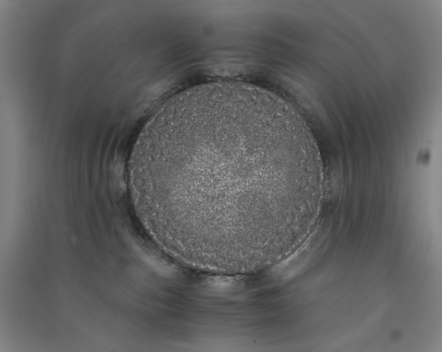 X0000091100187200708201530