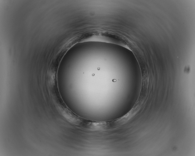 X0000091100188200708201530