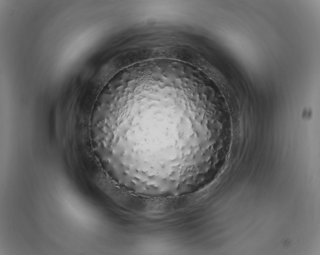 X0000091100191200708201530