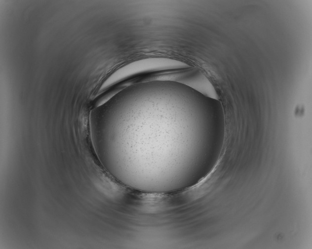 X0000091100192200708201530