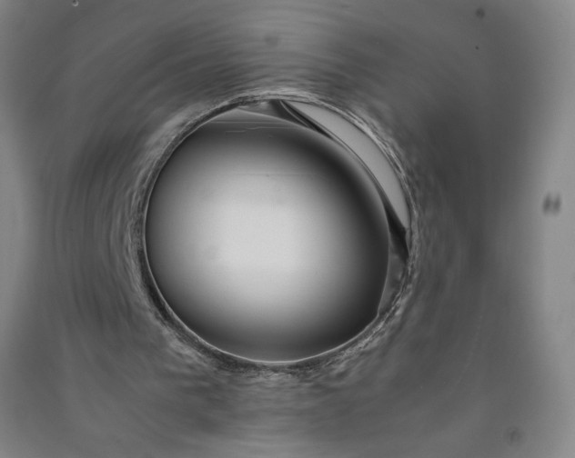 X0000091100193200708201529