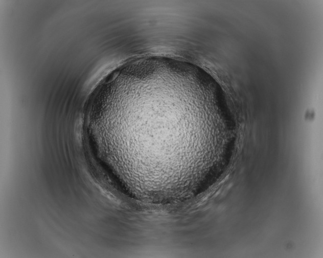 X0000091100194200708201529