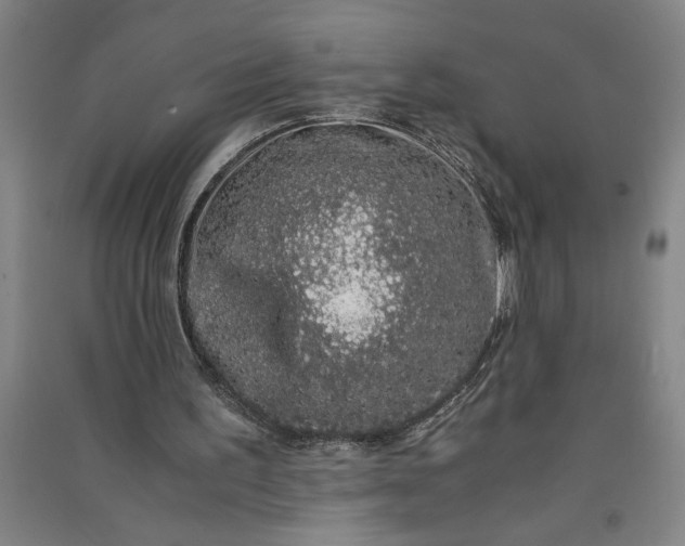 X0000091100195200708201529