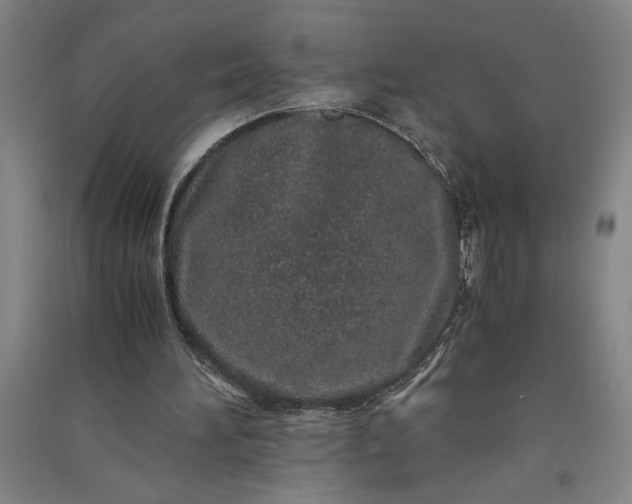 X0000091100196200708201529