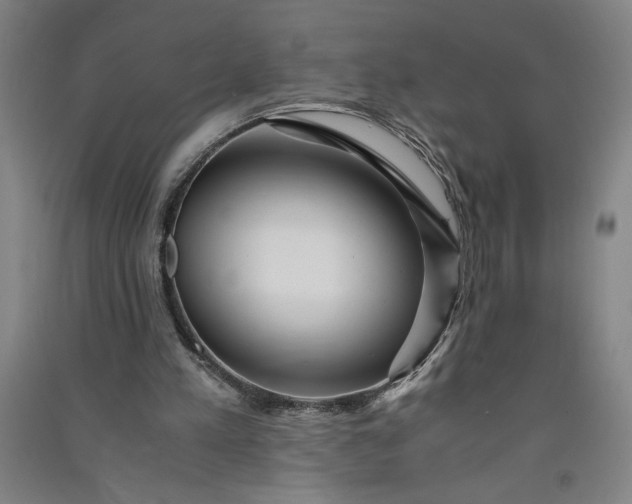 X0000091100197200708201529