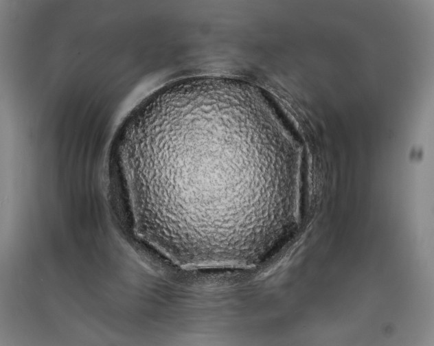 X0000091100198200708201529