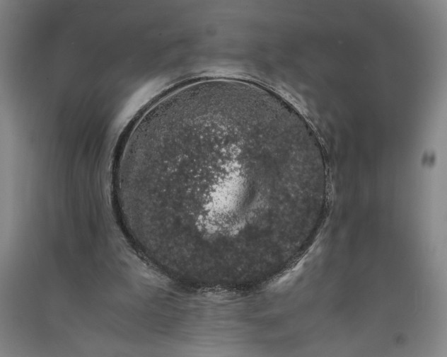 X0000091100199200708201529