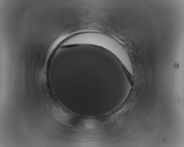 X0000091100200200708201529