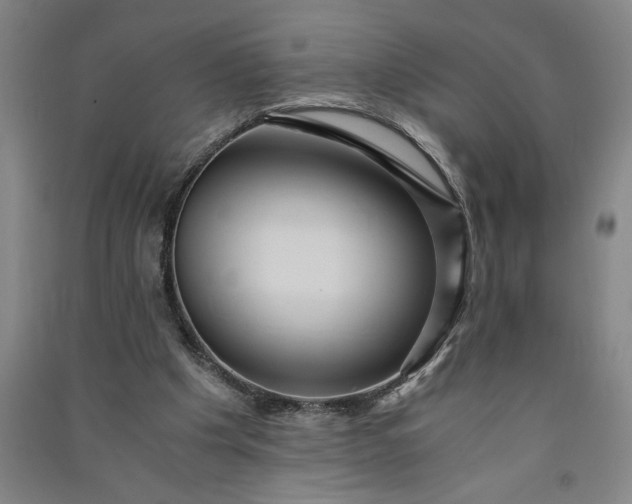 X0000091100201200708201529