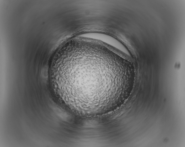 X0000091100202200708201529