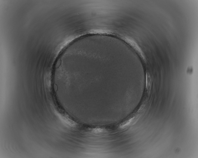 X0000091100204200708201529