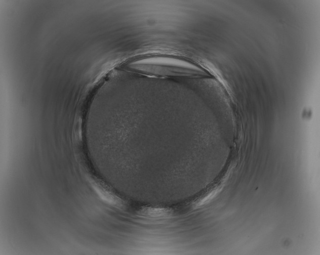 X0000091100205200708201529