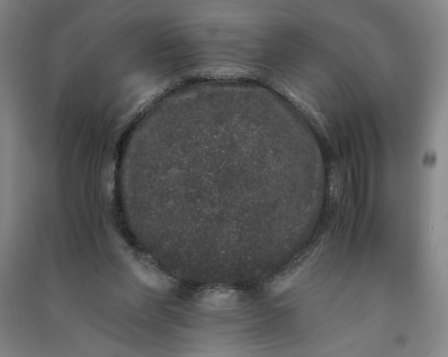 X0000091100206200708201529