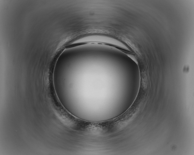 X0000091100207200708201529