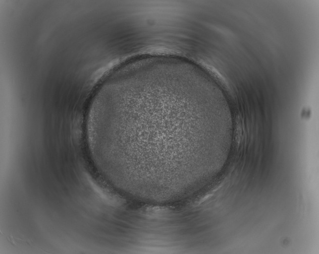 X0000091100208200708201529