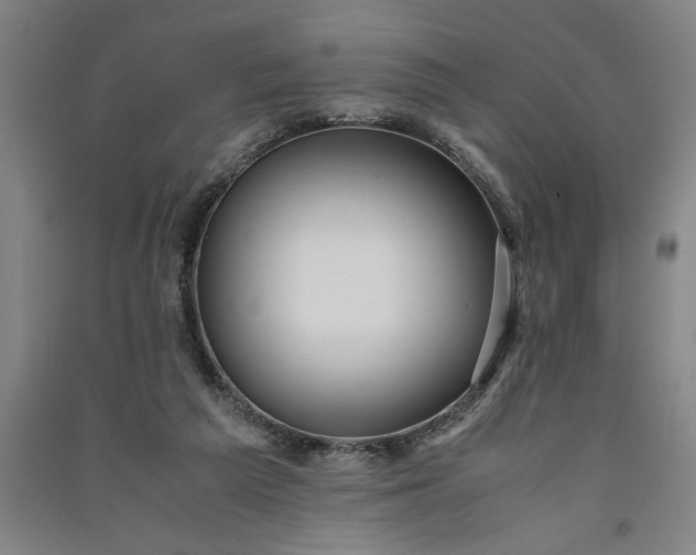 X0000091100209200708201529