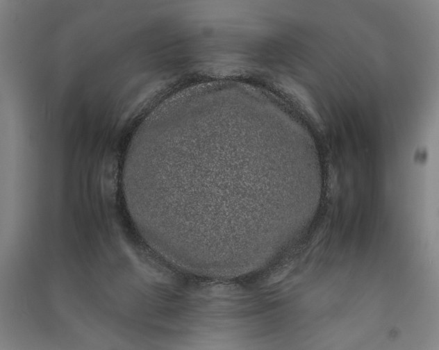 X0000091100210200708201529