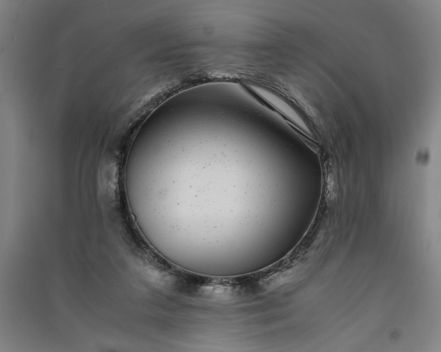 X0000091100211200708201529