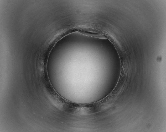 X0000091100212200708201529