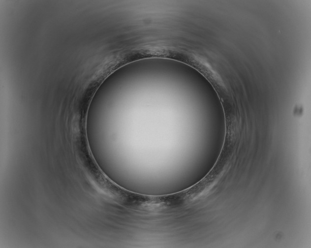 X0000091100213200708201529