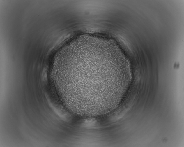 X0000091100214200708201529