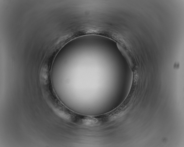 X0000091100215200708201529