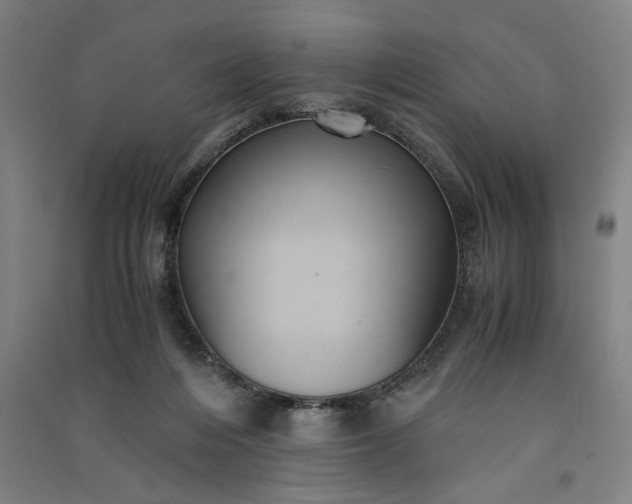 X0000091100216200708201529