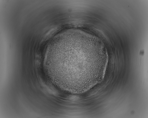 X0000091100218200708201528