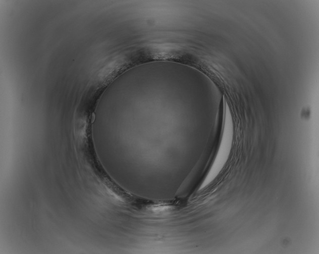 X0000091100219200708201528