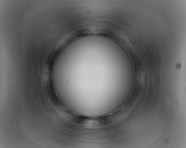 X0000091100220200708201528