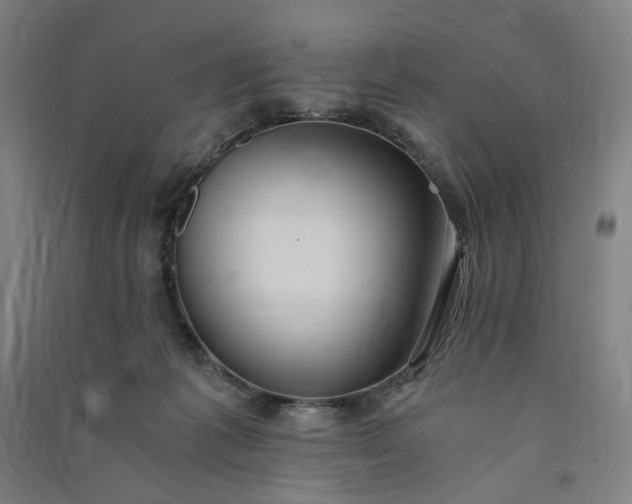 X0000091100221200708201528