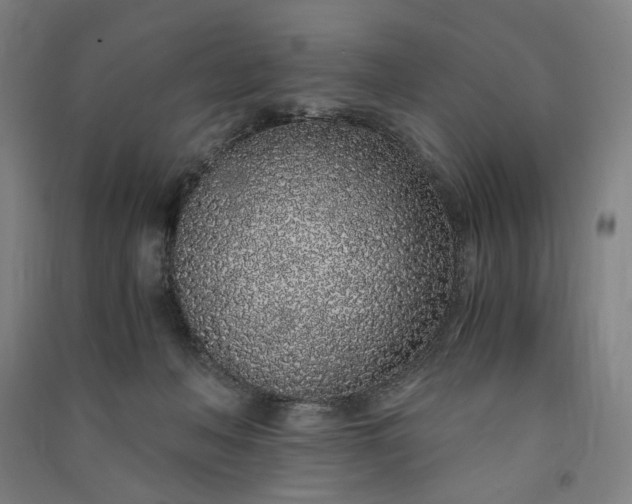 X0000091100222200708201528