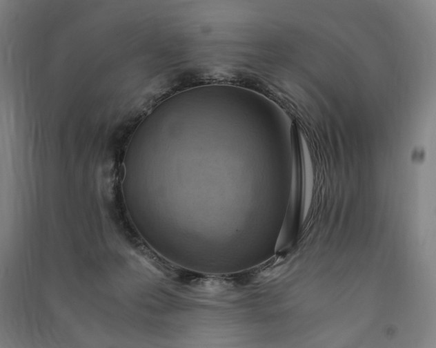 X0000091100223200708201528