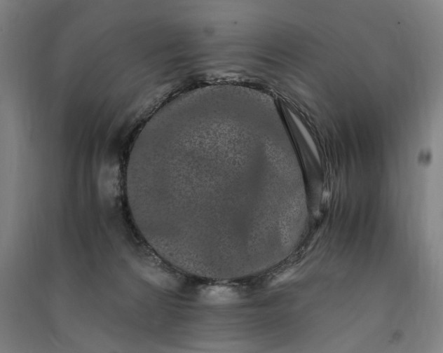 X0000091100224200708201528