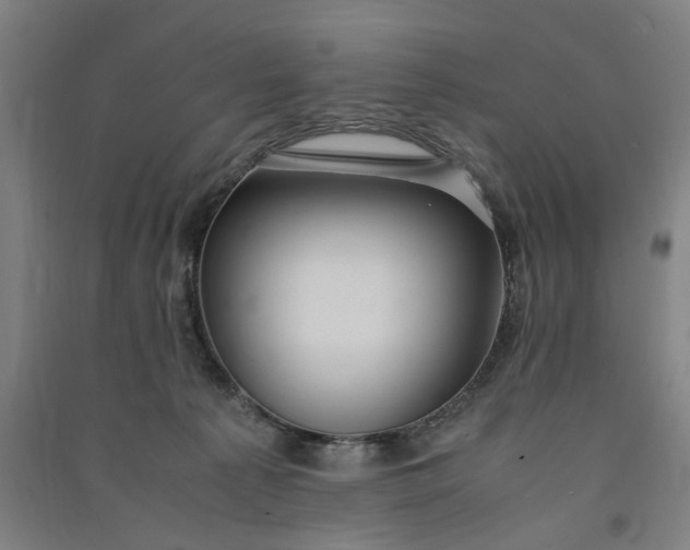 X0000091100225200708201528