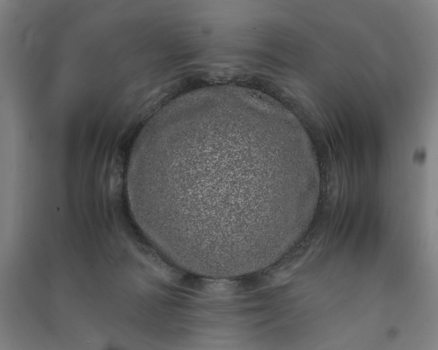 X0000091100226200708201528