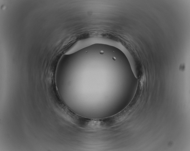 X0000091100227200708201528