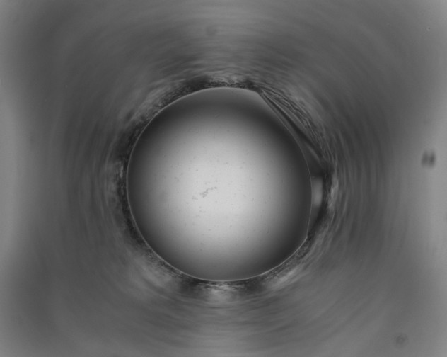 X0000091100229200708201528