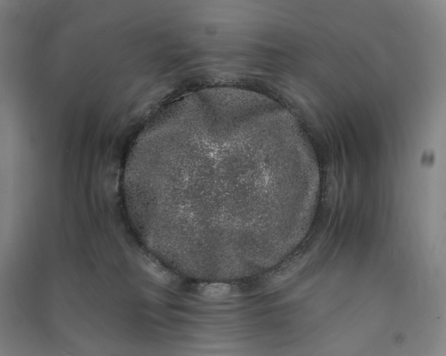 X0000091100230200708201528