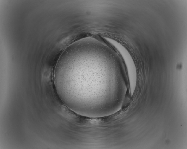 X0000091100233200708201528