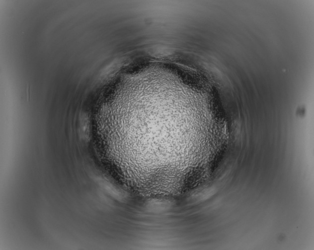 X0000091100234200708201528