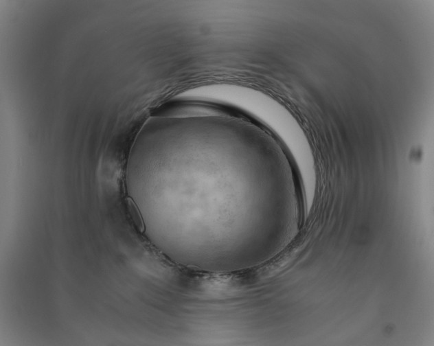 X0000091100235200708201528