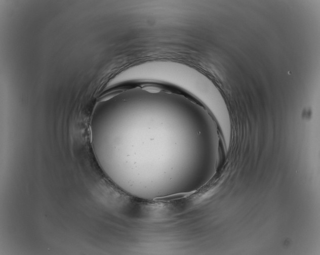 X0000091100237200708201528