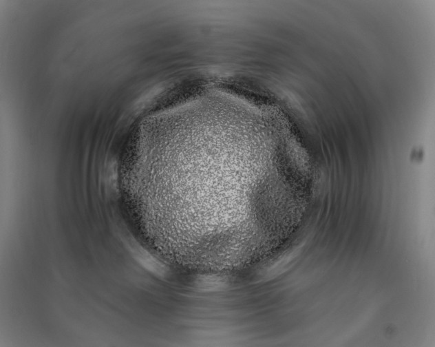 X0000091100238200708201528