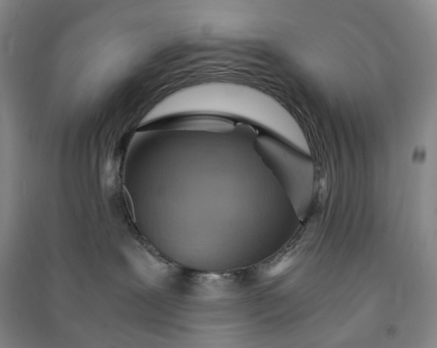 X0000091100239200708201528